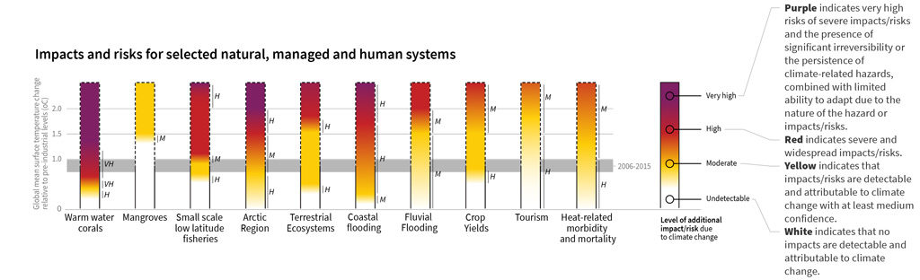 How the level of global warming affects impacts and/or risks associated for selected natural, managed and human systems. Adapted from IPCC (pdf)