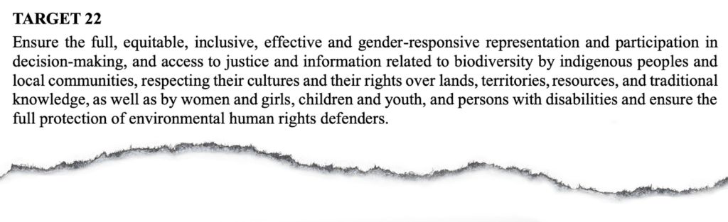 Target 22 of the Kunming-Montreal Global Biodiversity Framework also acknowledges the participation of women, girls, children and youth in decision-making. 